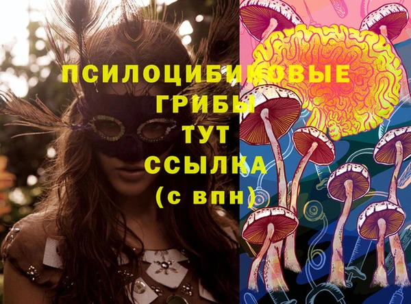 спайс Заволжье