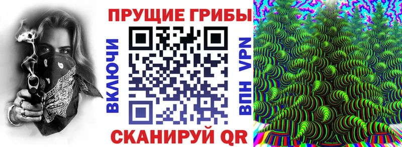 Галлюциногенные грибы Cubensis  Купить  Катав-Ивановск 