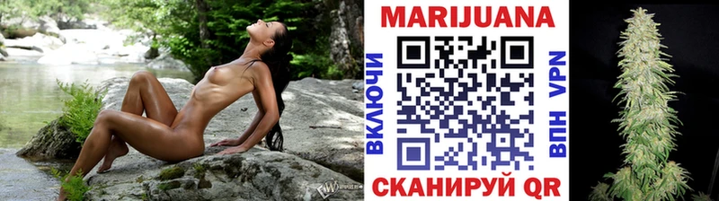 Купить где  Катав-Ивановск  Шишки марихуана сатива 